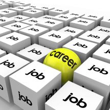 claims adjusting career