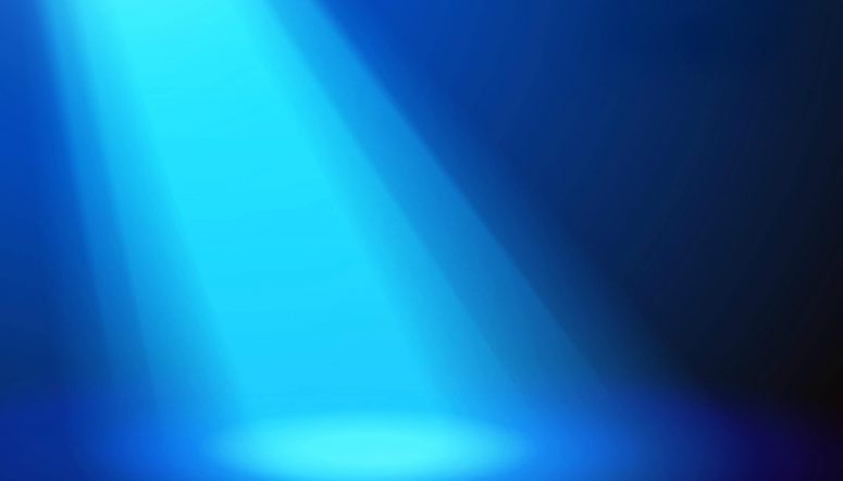 claims adjuster spotlight