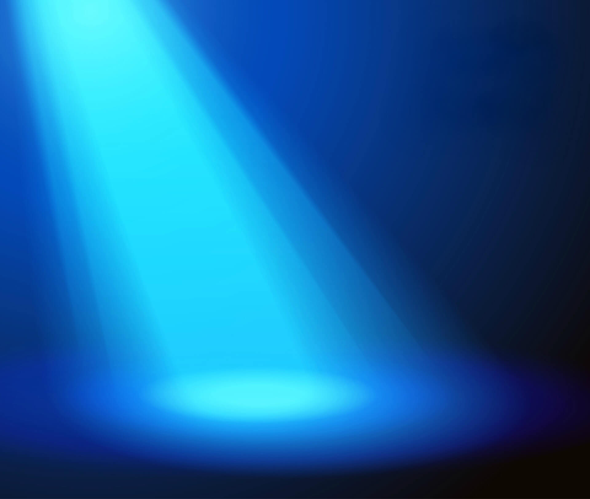 claims adjuster spotlight