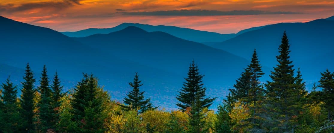 Become an adjuster in New Hampshire