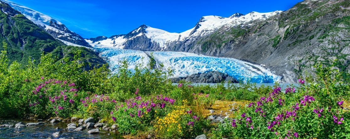 Become an Alaska Adjuster