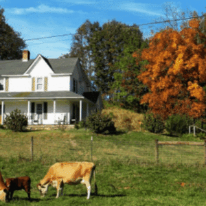 Basics of the Agricultural Policy