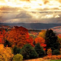 Become a Vermont Adjuster