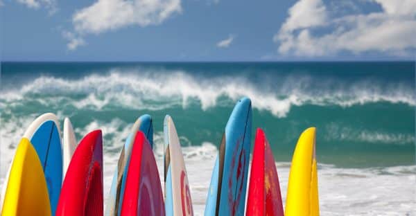 Become an adjuster in Hawaii