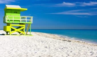 Florida Designated Home State License