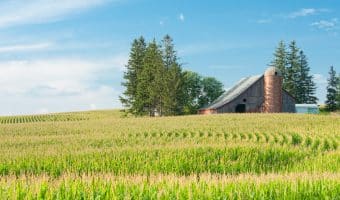 Become an adjuster in Iowa