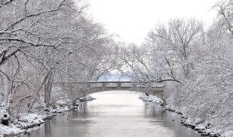 Become an adjuster in Wisconsin