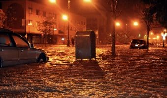Emergency Adjuster License