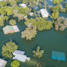 Flood certification for adjusters
