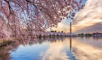 Washington DC Insurance Adjuster