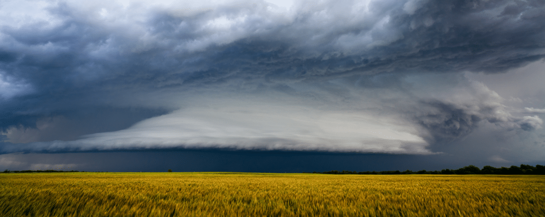 Oklahoma adjuster license