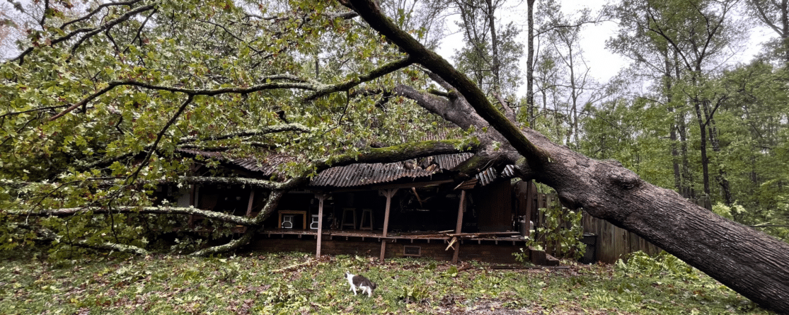 Hurricane Helene Damage from AdjusterPro