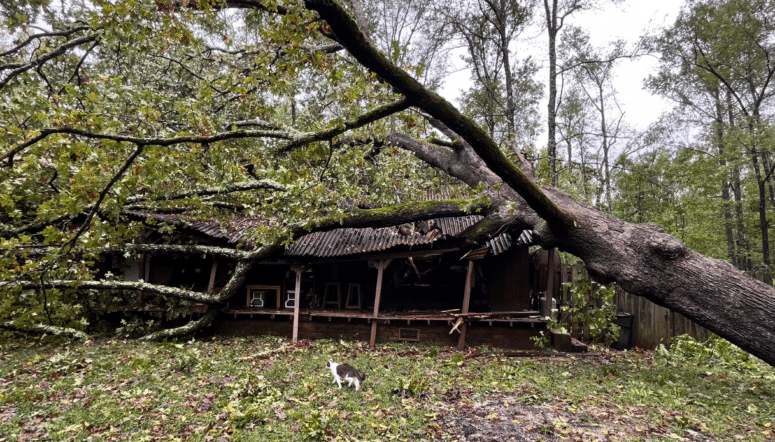 Hurricane Helene Damage from AdjusterPro