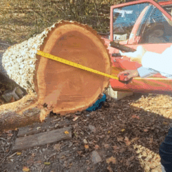 Insurance claims adjuster training