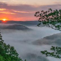Step by step instructions on how to become an insurance adjuster in Arkansas